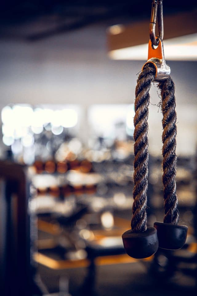 Cardio musculation Genae