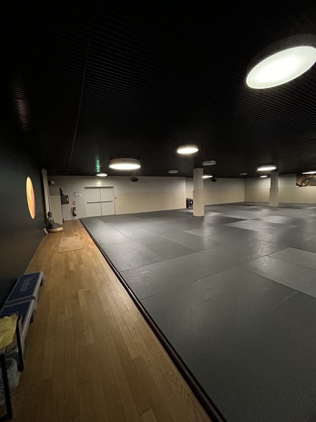 Installations Genae Bron
