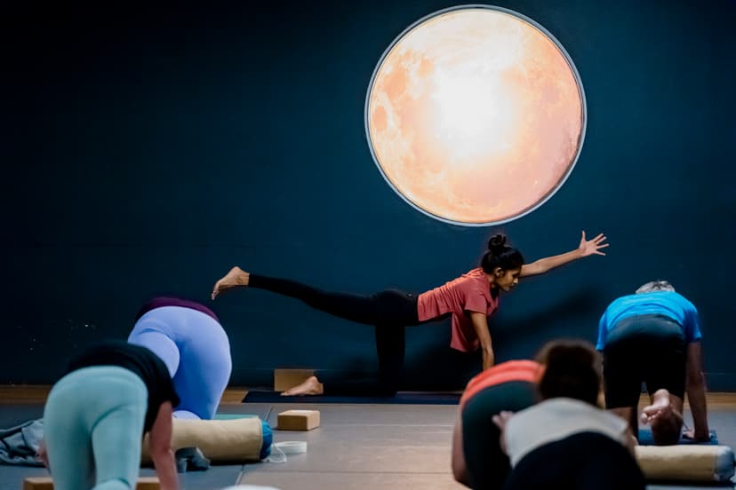 VINYASA YOGA