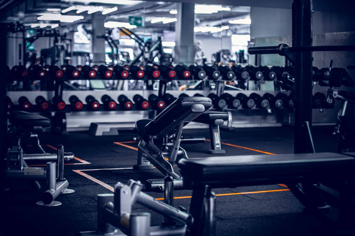 Cardio musculation