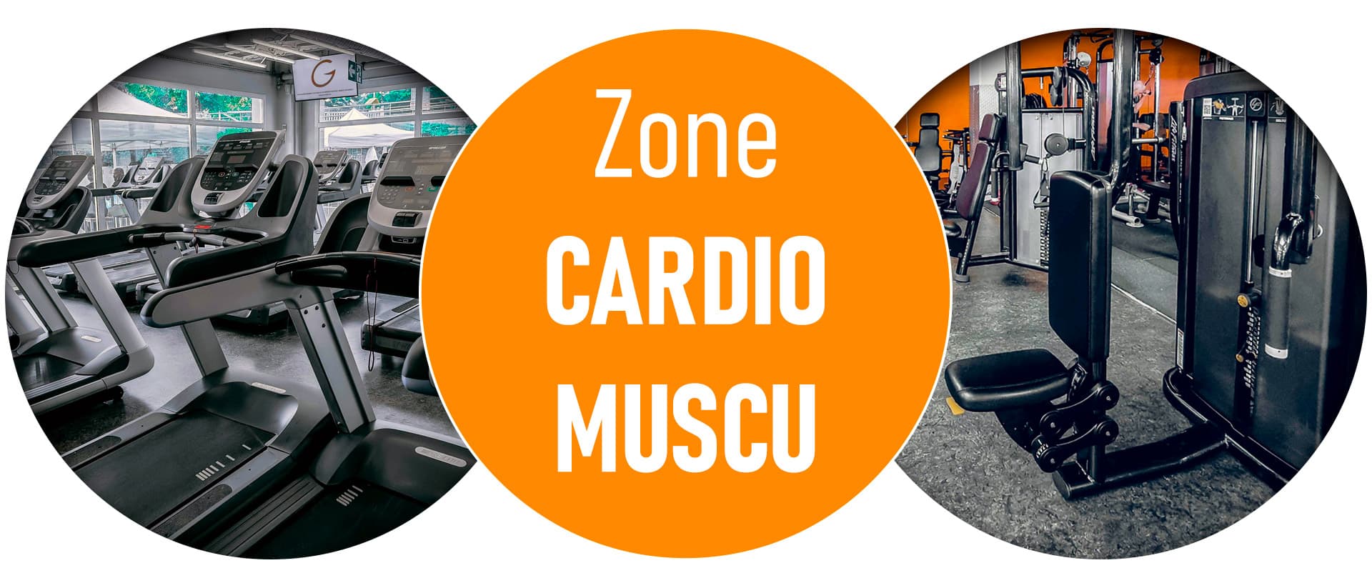 150 machines cardio et muscu