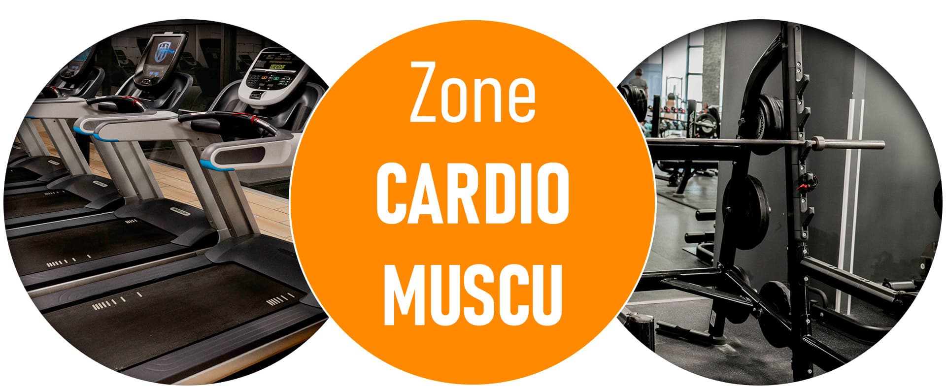 150 machines cardio et muscu
